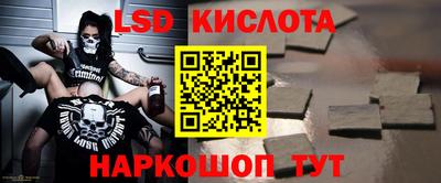 прущие грибы Камышлов