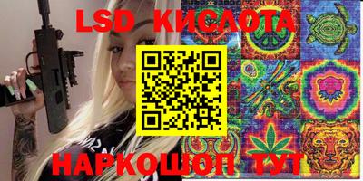 прущие грибы Камышлов