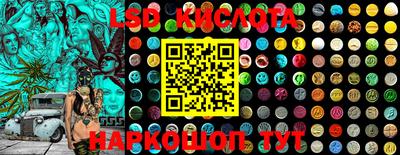 прущие грибы Камышлов