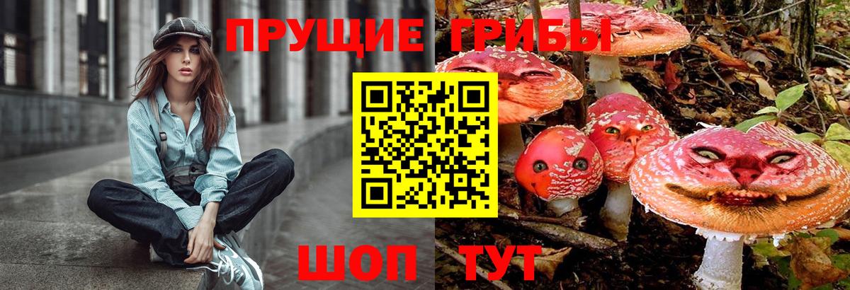 Галлюциногенные грибы GOLDEN TEACHER  Вход с VPN  хочу   Краснодар 